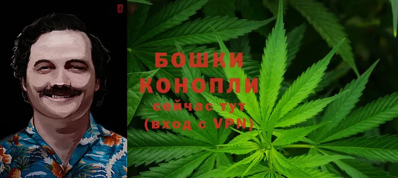 Бошки марихуана Ganja  Весьегонск 